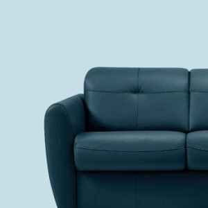 Boncellensis Secullant